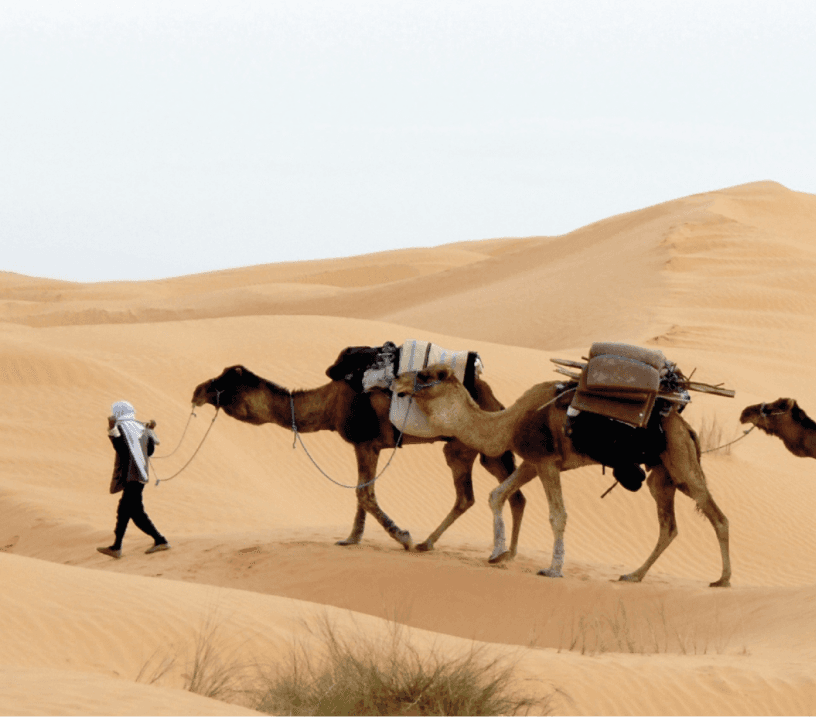 Slavery in Islam: Abolishing the social vice