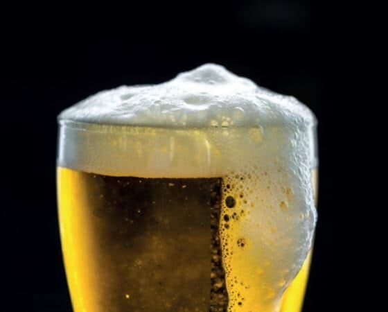 The world examined – Saving giants, Gandhi’s killer and 1g of alcohol