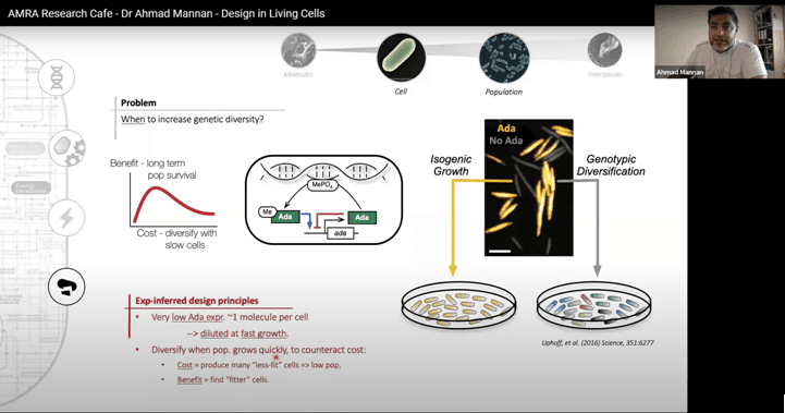Designs in the living cell – AMRA Research Café
