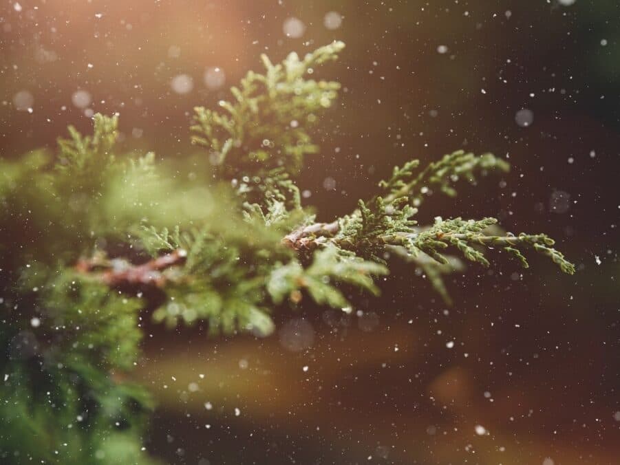 Six reasons Muslims – or anyone – should not celebrate Christmas