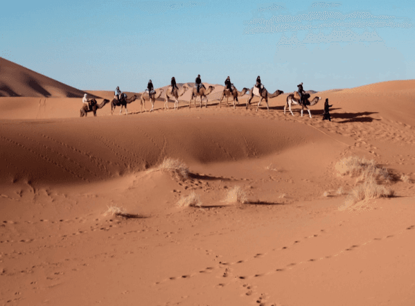 The exemplary young Companions: Manual labour