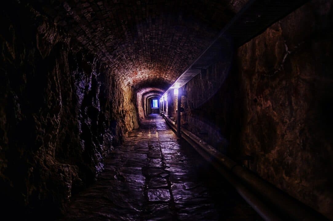 “The imam is a shield”: Huzoor’s warning about Fortnite