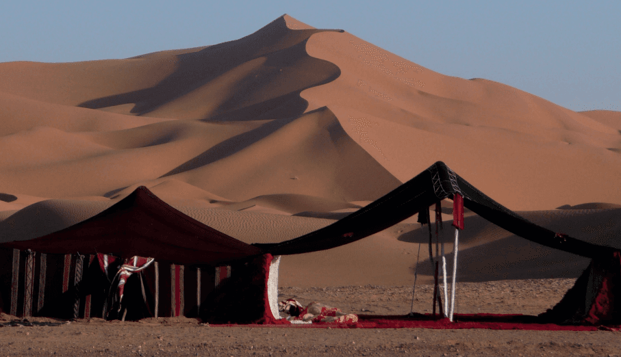 The exemplary young Companions: Hospitality