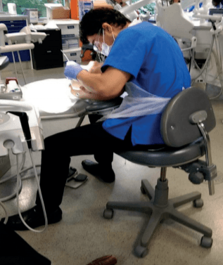 Khilafat and Western Muslim youth: 10 personal accounts