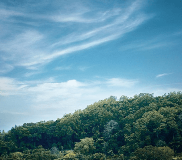 Ashra Tahrik-e-Jadid in Sri Lanka
