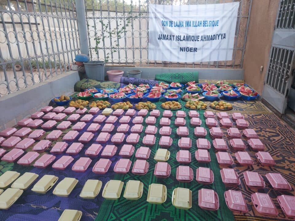 Ahmadi Muslims continue assisting the world’s most underdeveloped country: Niger