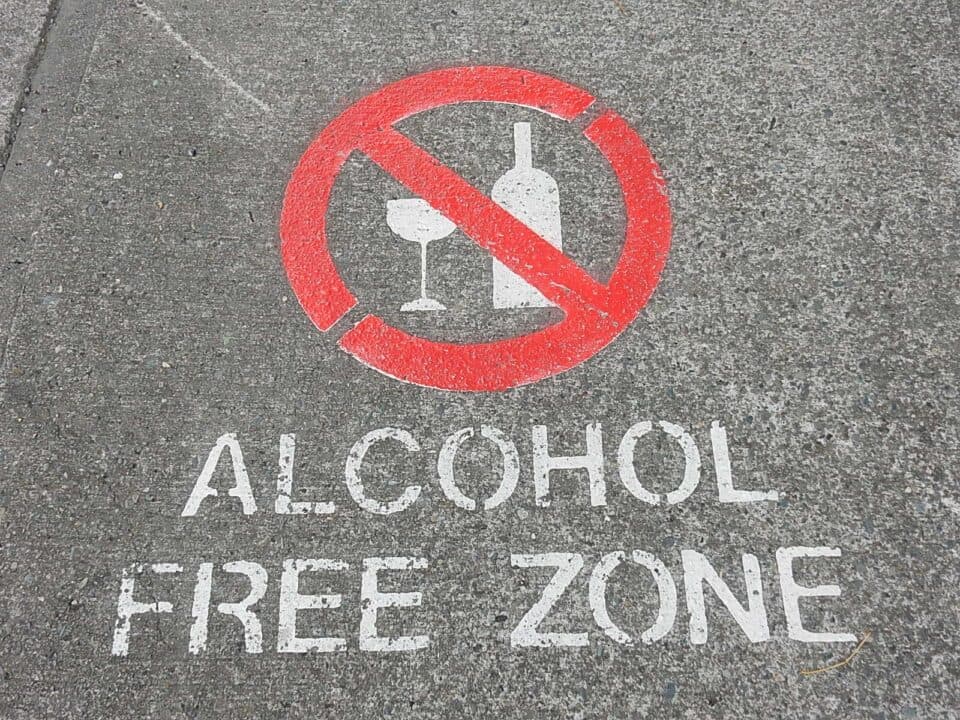 Alcohol ban Qatar World Cup: No surprise female football fans feel safer