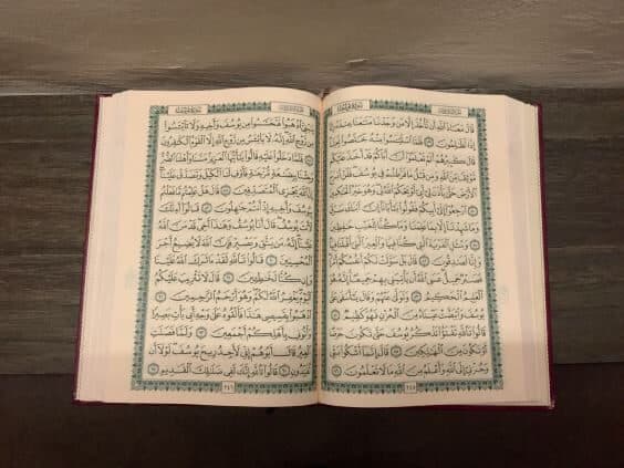 Names of Allah: al-Mutakabbir, al-‘Aliyy, al-A’lā, al-Muta’āl, as-Subbūh, al-Quddūs, as-Salām, al-Mu’min, al-Muhaymin, al-Hafīz, al-Māni’, al-Wakīl