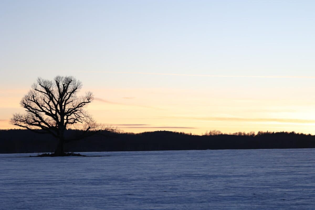 Islamic insights for uplifting spirits any season