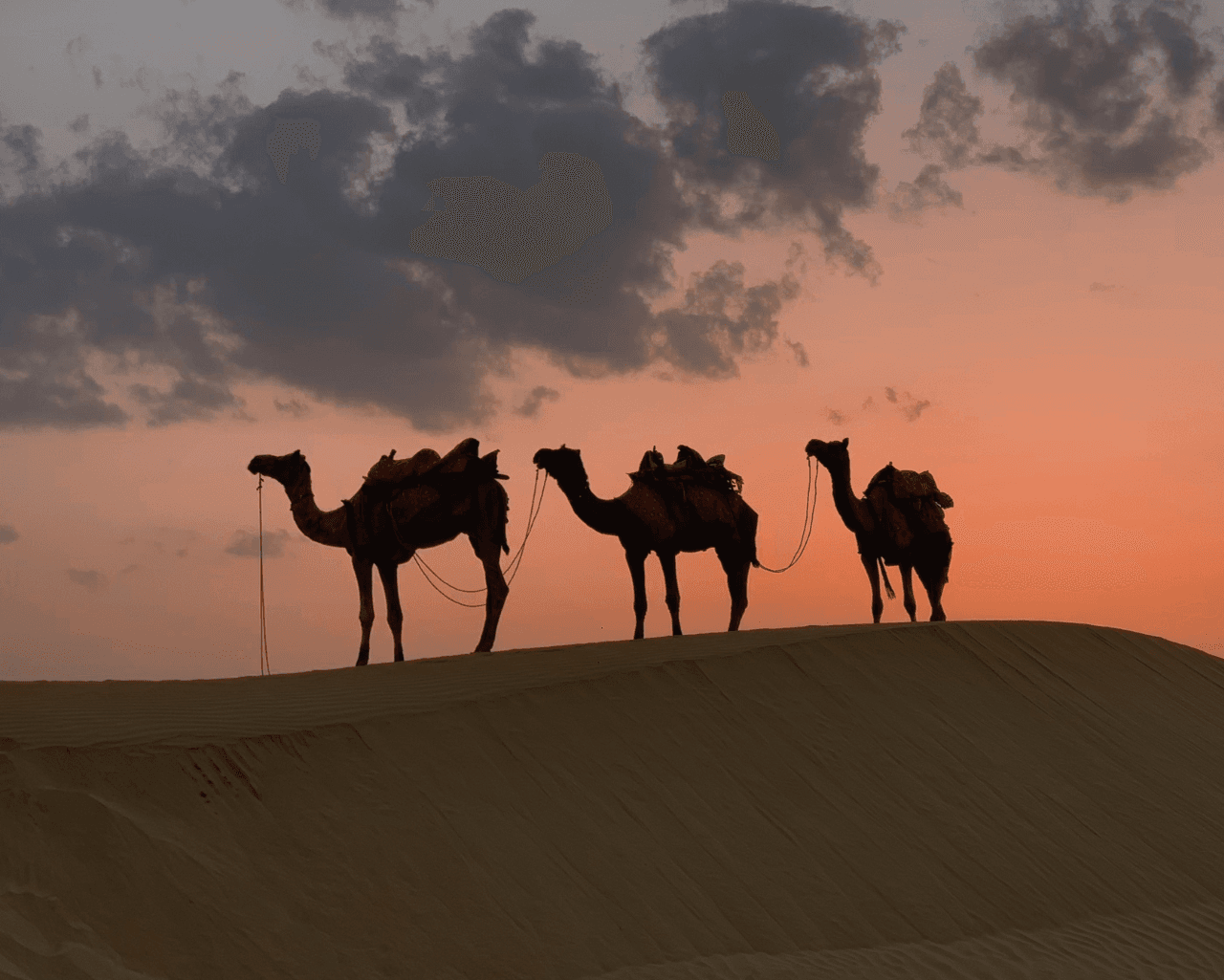 Prophet Abraham’s three statements: Lies or misunderstood truths? Understanding the hadith and Quran