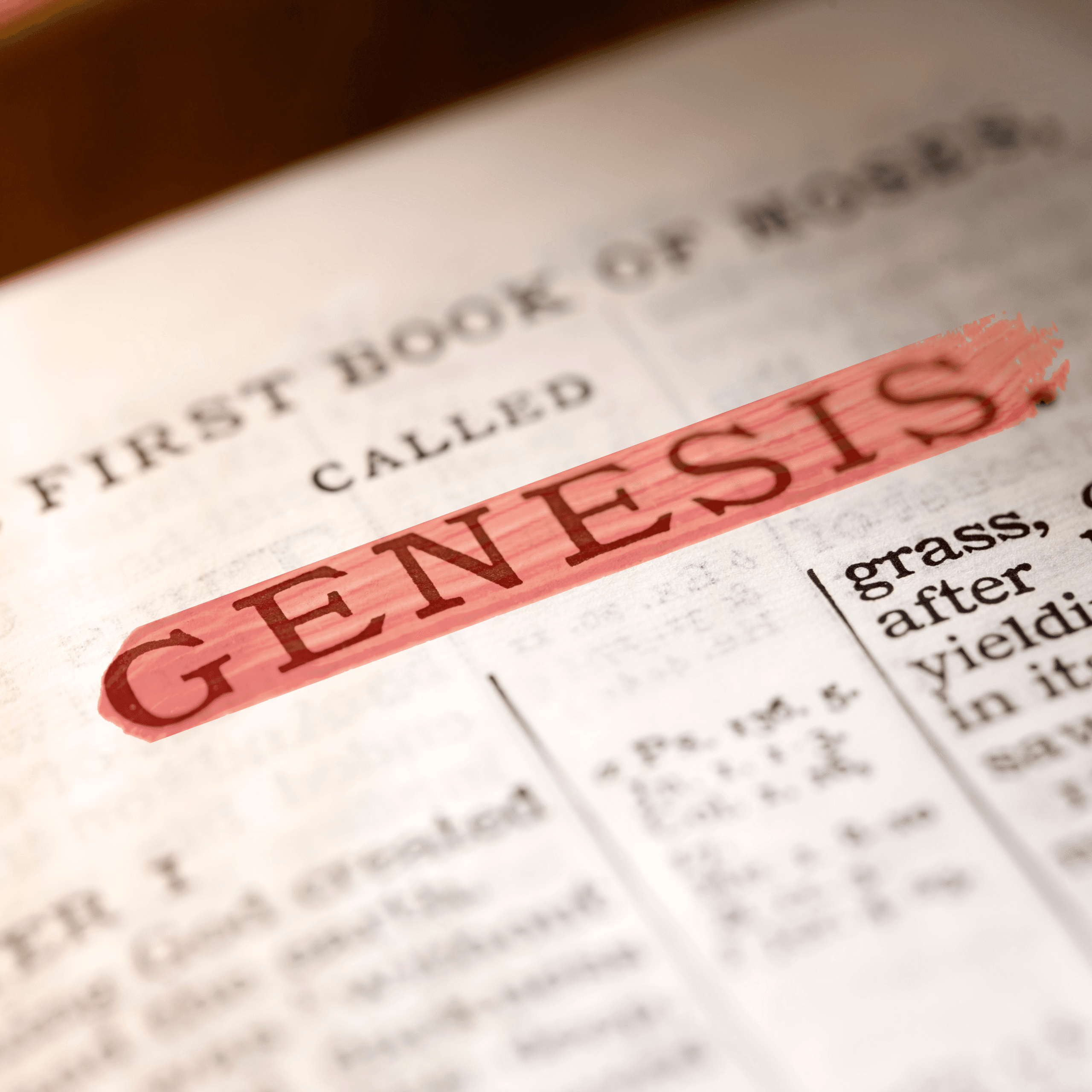 A critical analysis and comparative study of Genesis – Part 7