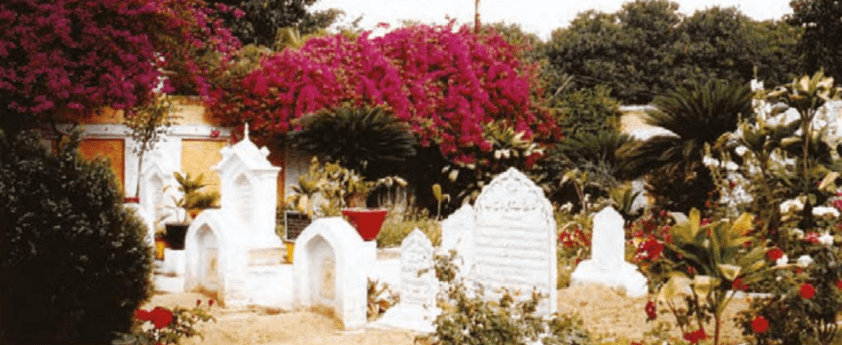 Coming from every distant track: Qadian welcomes American students (1971)