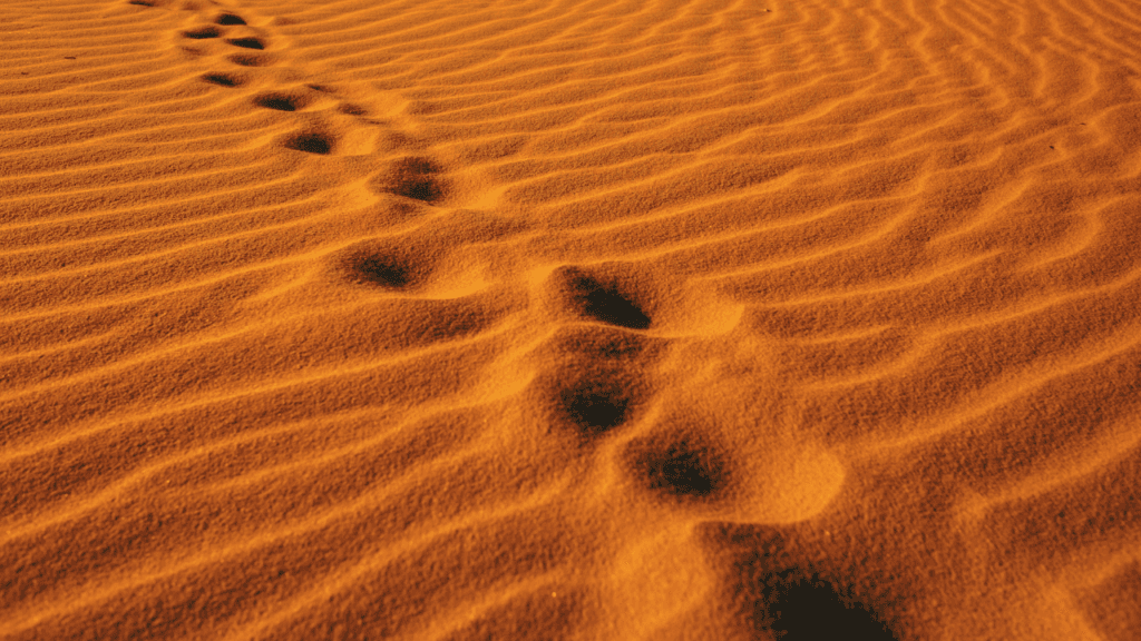 In the footsteps of the Sahaba: A temperament of love and the gift of Khilafat