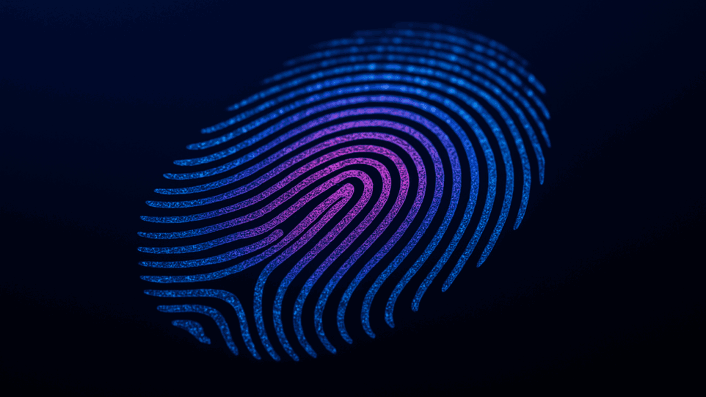 Fingerprints unveiled in the Holy Quran: A divine sign of individuality