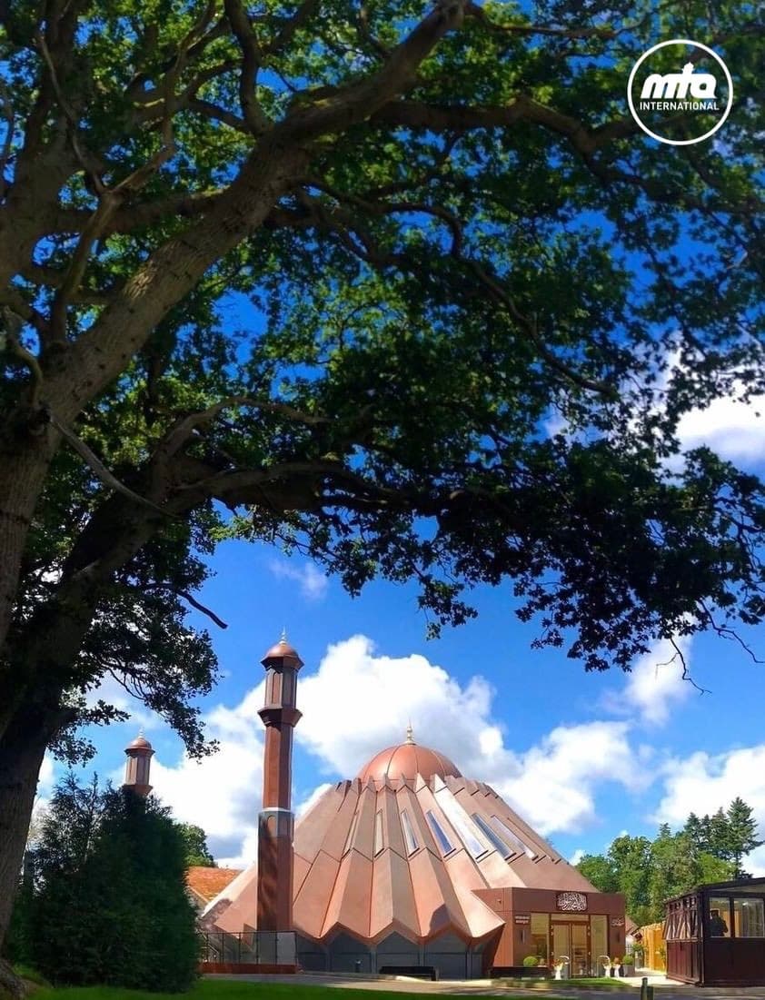 Contentment of those enduring hardship is a lesson for the prosperous: Humanity First UK team meets Huzoor