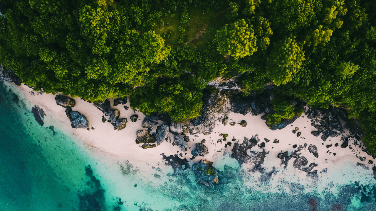 Indonesia amid an ecological crisis: A green response launched at the Jamaat’s centenary