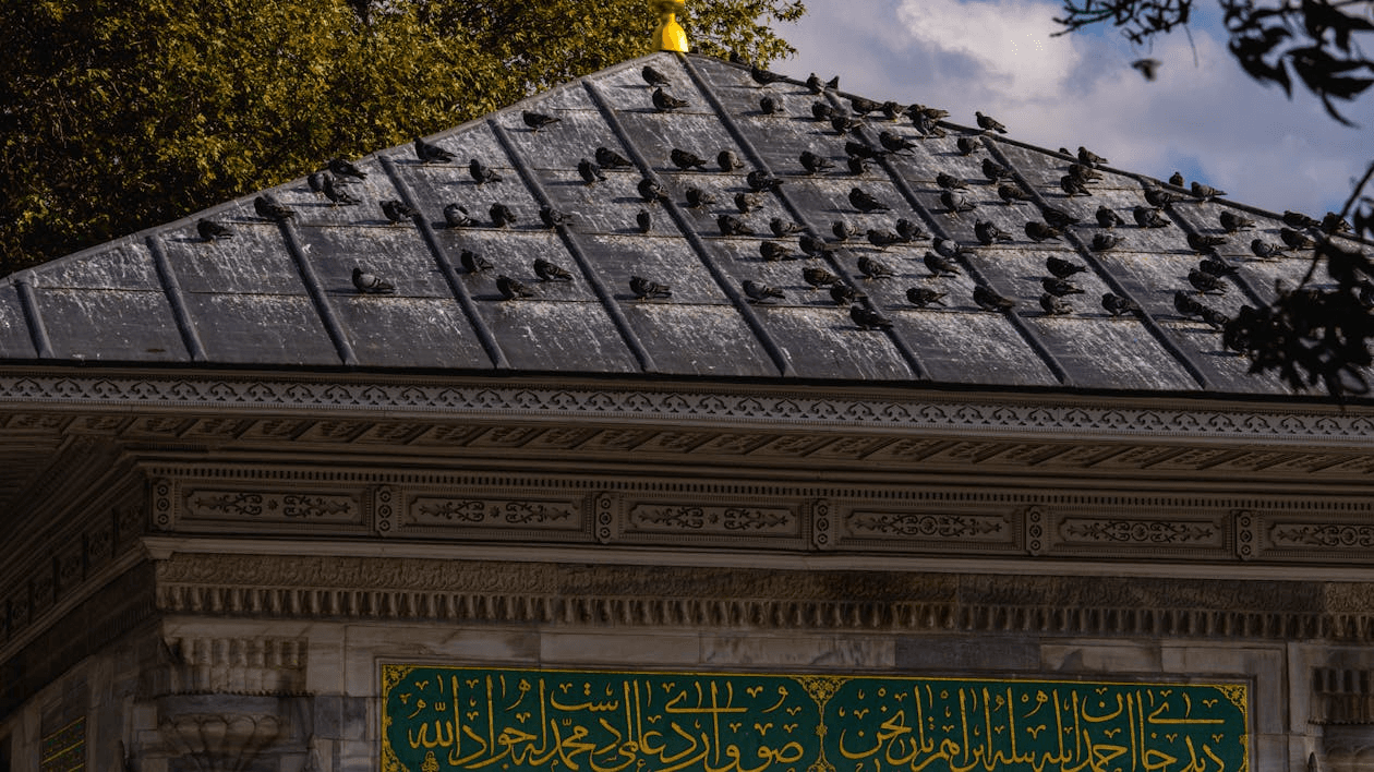 Answers to Everyday Issues – Part 101: Hadith on souls as troops, zakat on trade assets and real estate, Sacred Months vs Hajj Months, investment schemes and AIDS statistics