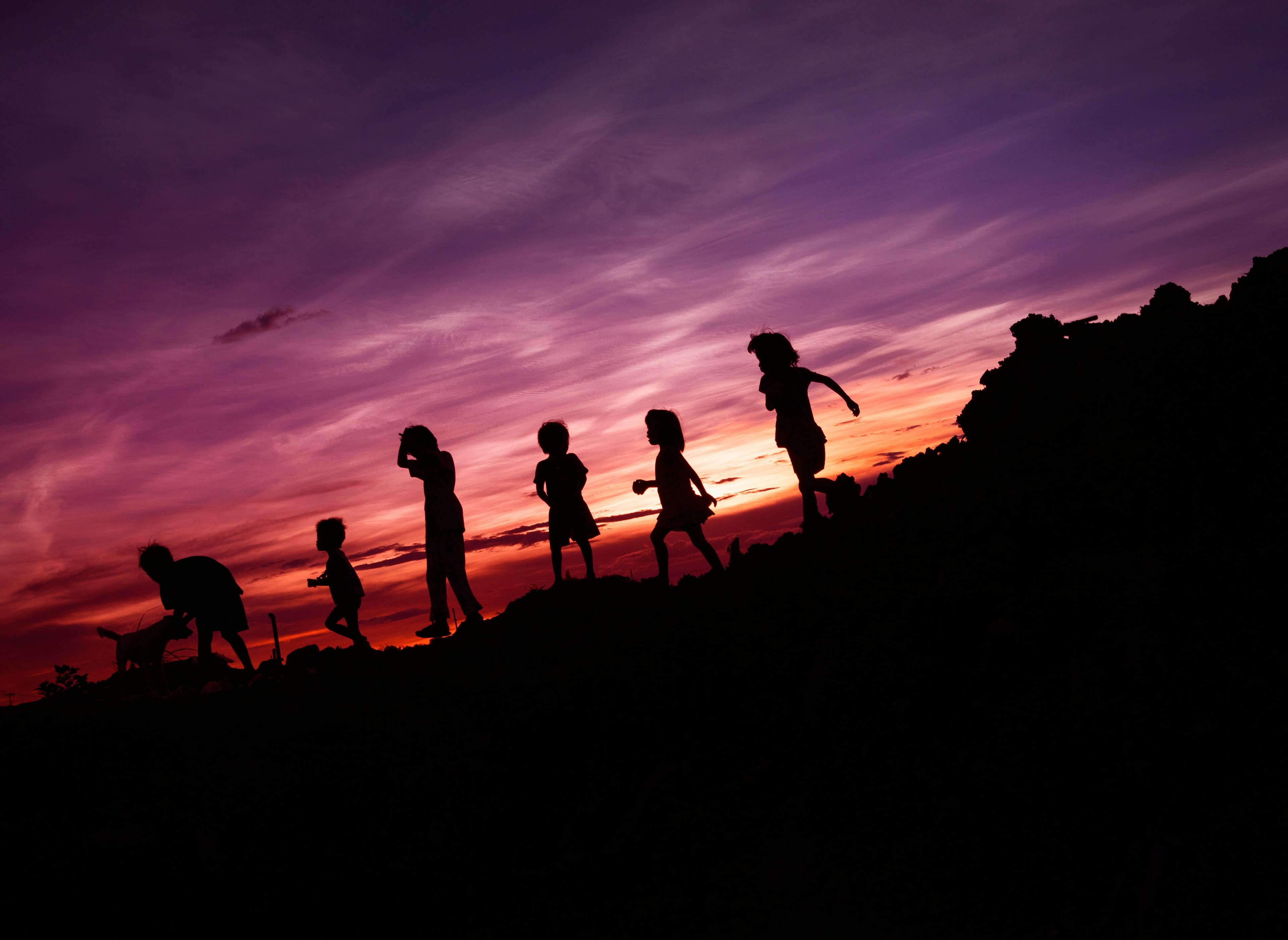 ‘Beautiful patience’: The interruptions in life that define us