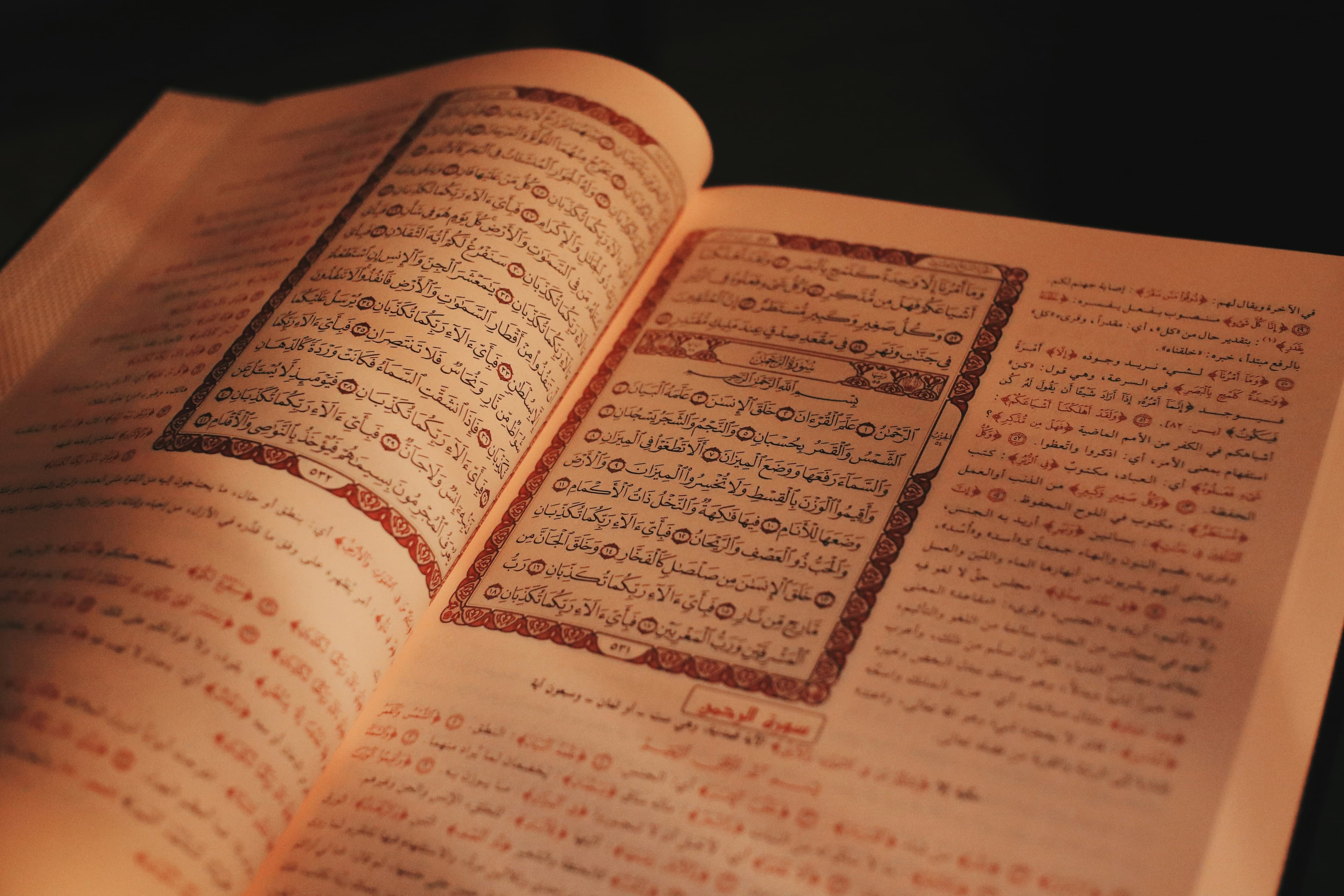 A vision misread: Quran 2:260 and the exile of Bani Israel