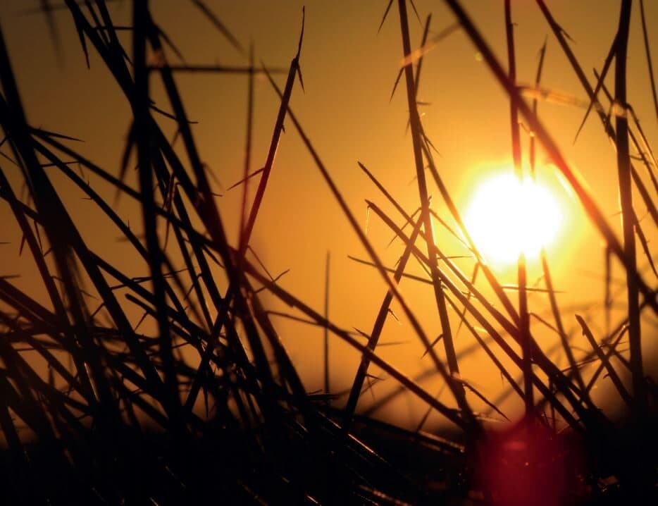 Second Ashra of Ramadan – Making hay while the sun shines