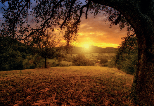 Establishing true morality will bring the dawn we crave