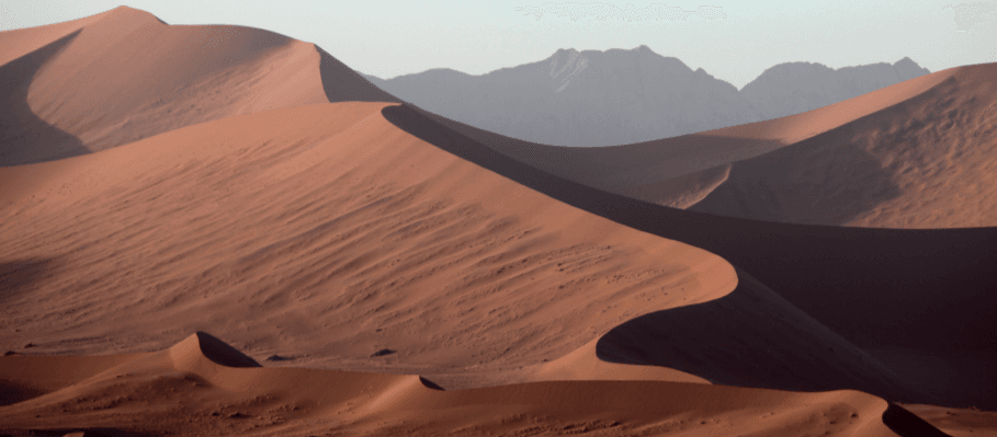 The exemplary young Companions: Honesty and integrity