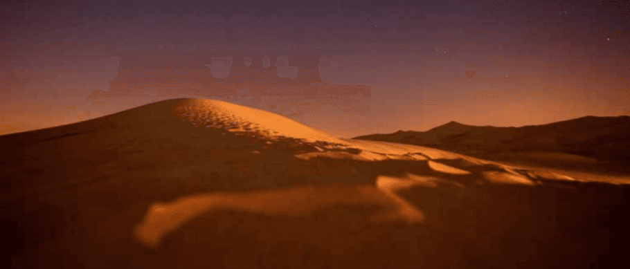 The exemplary young Companions: Keeping promises