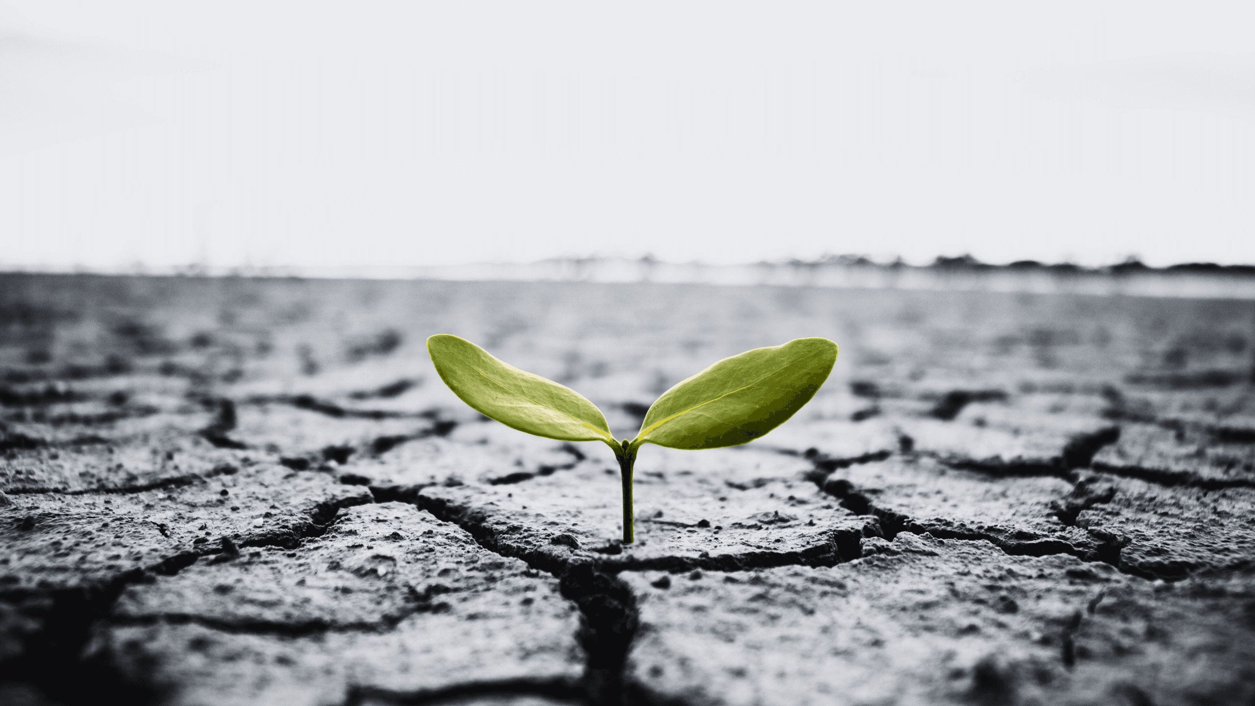 Trials and tribulations in Islam: Lessons from the Quran and hadith