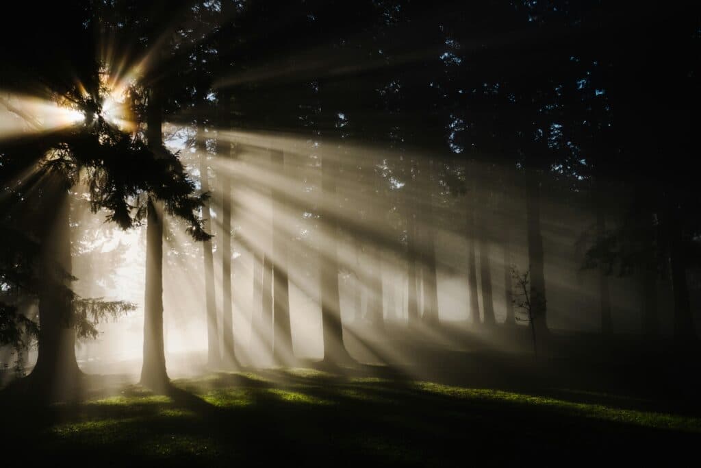 Beyond doctrine: How salvation is shaped by Divine mercy and genuine sincerity
