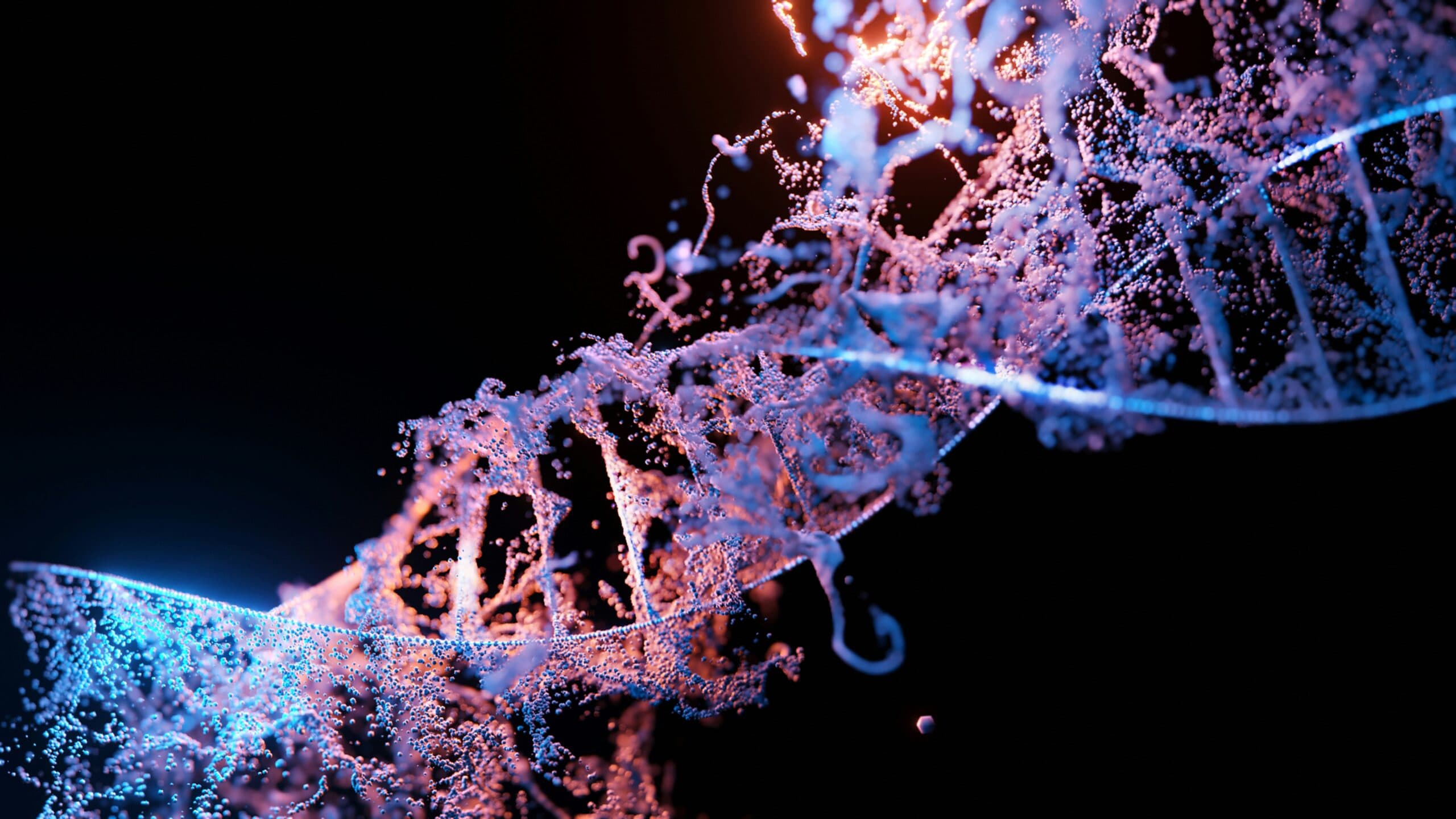 Between the loins and the breast-bones: The theory of human genesis in the Holy Quran
