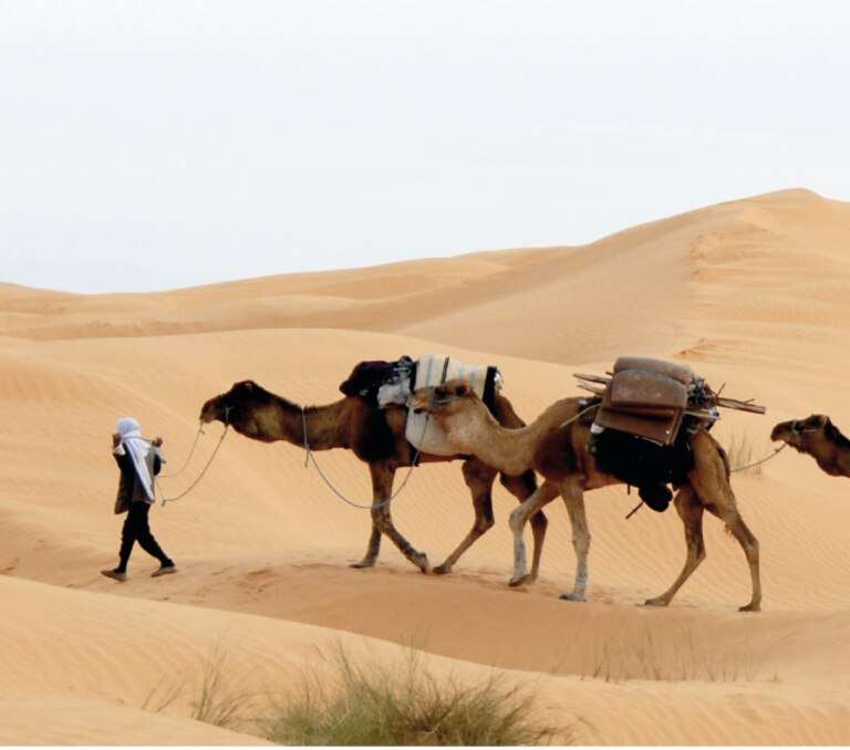 Slavery in Islam: Abolishing the social vice