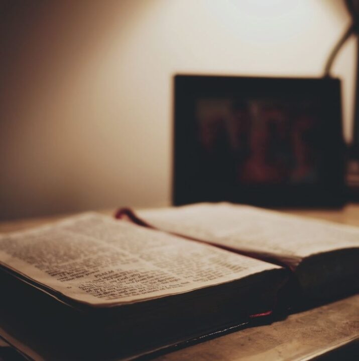 The Bible and the origin of languages 1 1 3