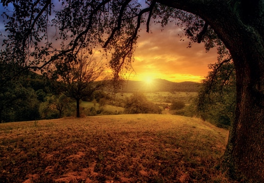 Establishing true morality will bring the dawn we crave 1 1 2