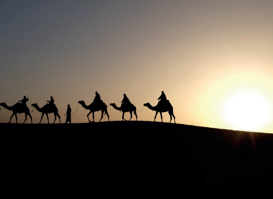 The exemplary young Companions: Complying with the commands of the Holy Prophet 1 1 29
