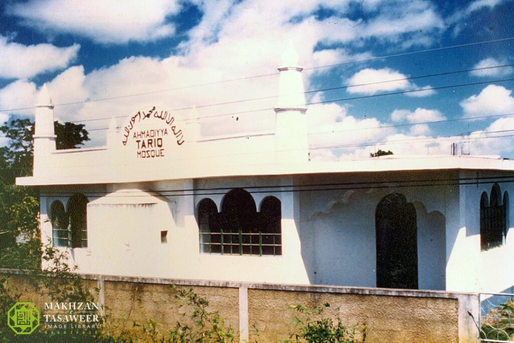 tariq mosque 2C505A01