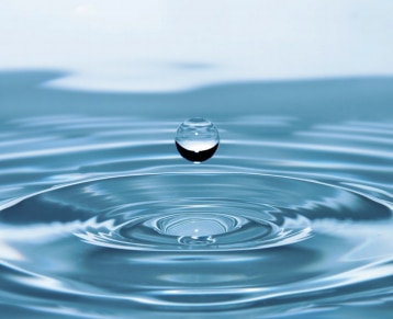 Islam’s insights on sustainability and the environment 3 1 43