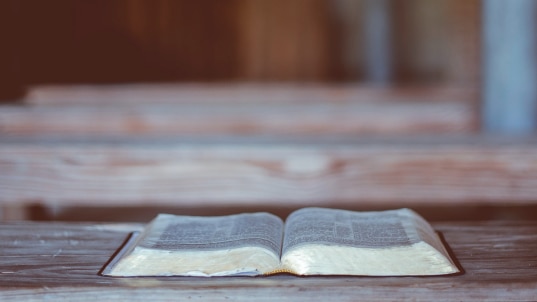 The Bible and the truthfulness of the Promised Messiah – Part V 1 Bible