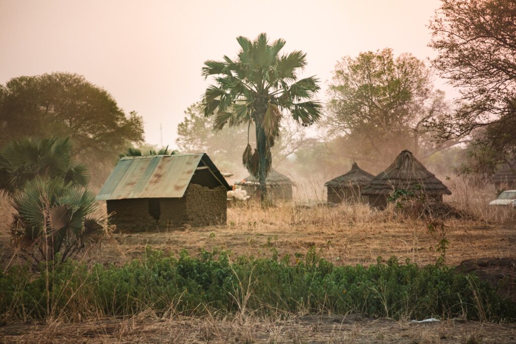 A chronology of Waqf-e-Jadid’s early years (1982-2003) 1 charl folscher Y8Qf26p uwc unsplash