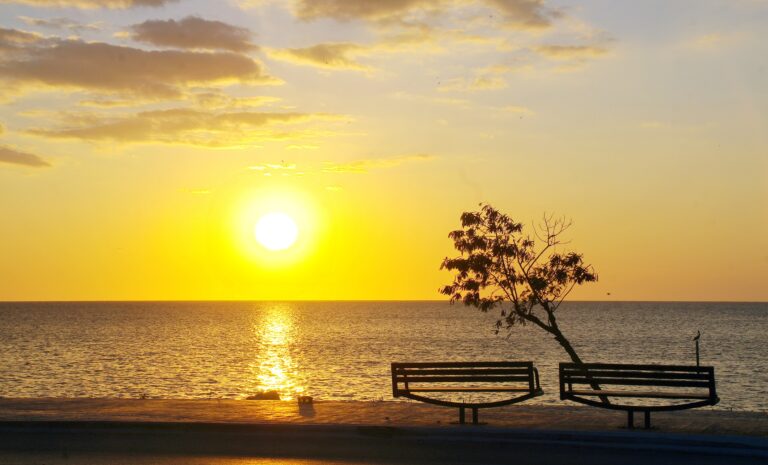 Seeking divine pleasure in every endeavor