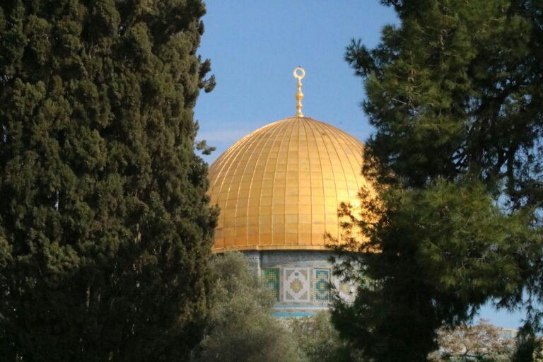 We are not powerless: History and acts of compassion for Gaza