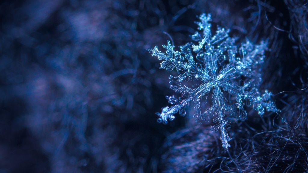Beating the winter blues and optimising the colder months 1 15 1
