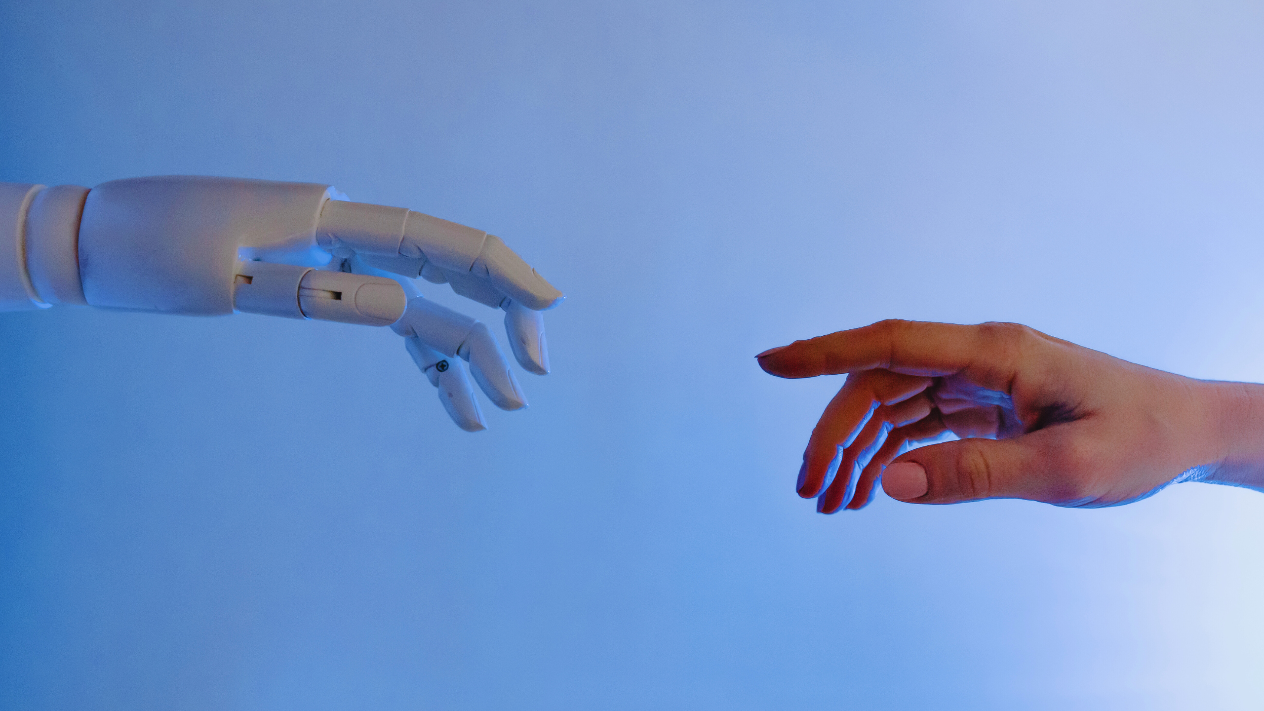 Humanity and AI: Reflections on consciousness, morality, and purpose ...