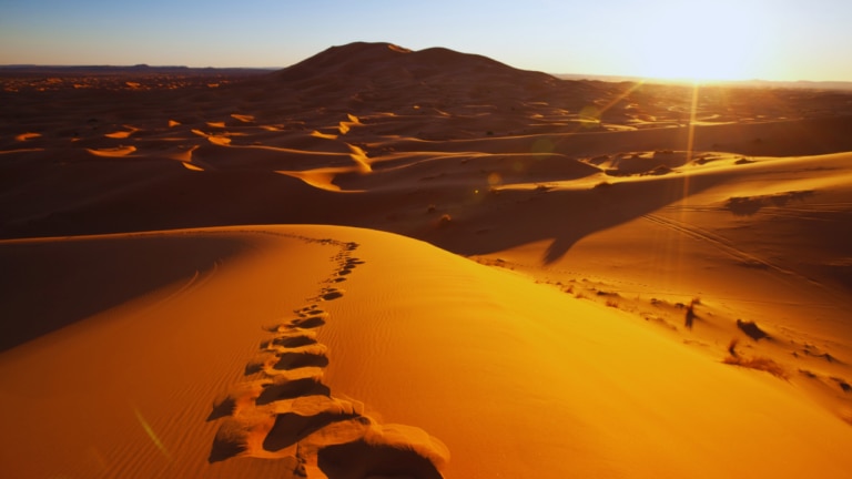 In the footsteps of the Sahaba: A temperament of love and the gift of Khilafat
