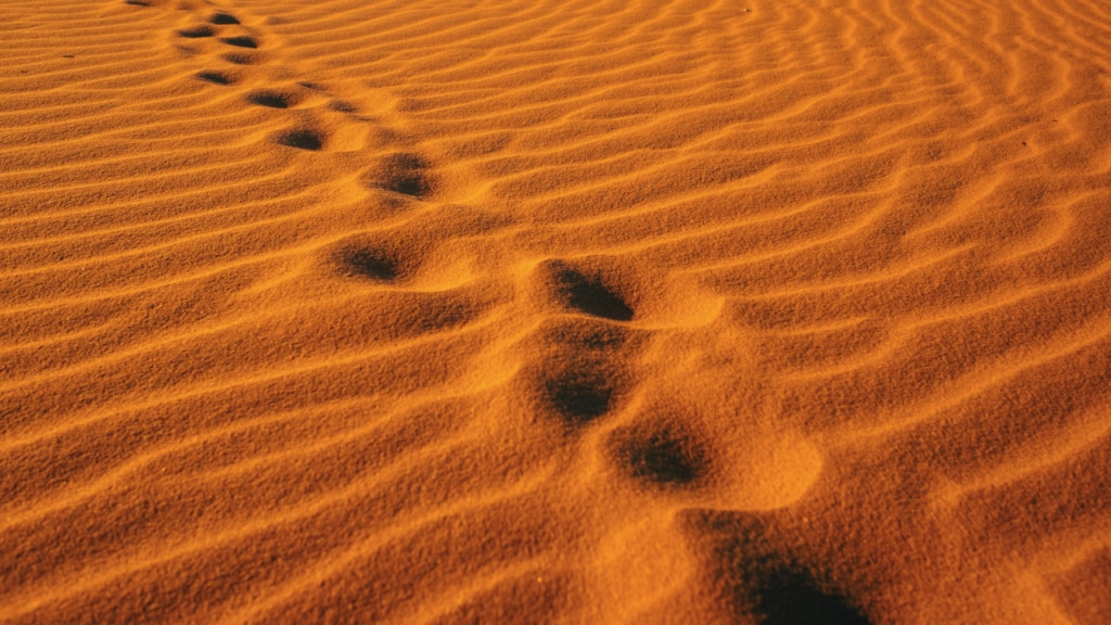 In the footsteps of the Sahaba: A temperament of love and the gift of Khilafat