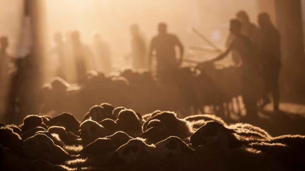 Eid al-Adha and the spirit of sacrifice: Reflections from the Khutbah Ilhamiyyah