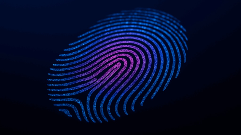 Fingerprints unveiled in the Holy Quran: A divine sign of individuality 1 Fingerprints unveiled in the Holy Quran: A divine sign of individuality