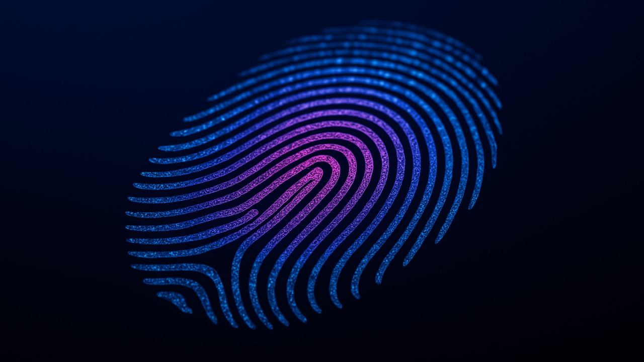 Fingerprints unveiled in the Holy Quran: A divine sign of individuality