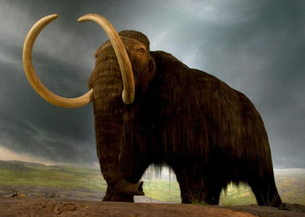 Resurrecting monsters: The dark side of genetic resurrection 2 0 2