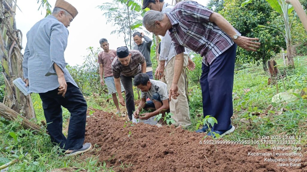 Ahmadis plant fruit trees in Java, Indonesia 1 Ahmadis plant fruit trees in Java, Indonesia