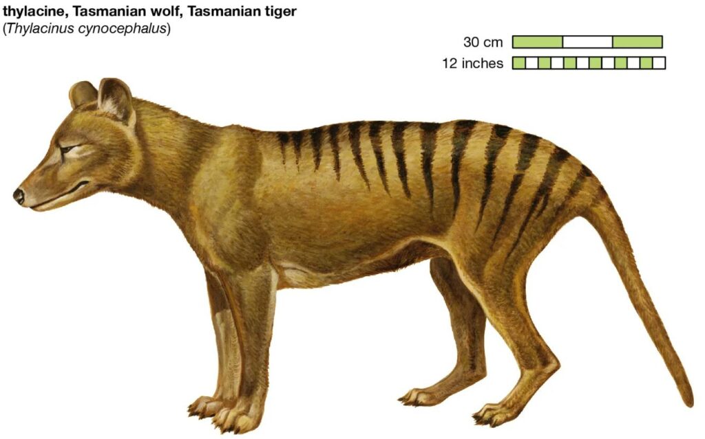 Resurrecting monsters: The dark side of genetic resurrection 3 1 1
